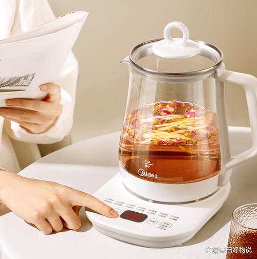 燒水壺品牌哪個(gè)最好耐用？2026年推薦3款超高性價(jià)比養(yǎng)生壺！